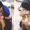 Dog Goes To Vet And Thinks She's There For Hugs