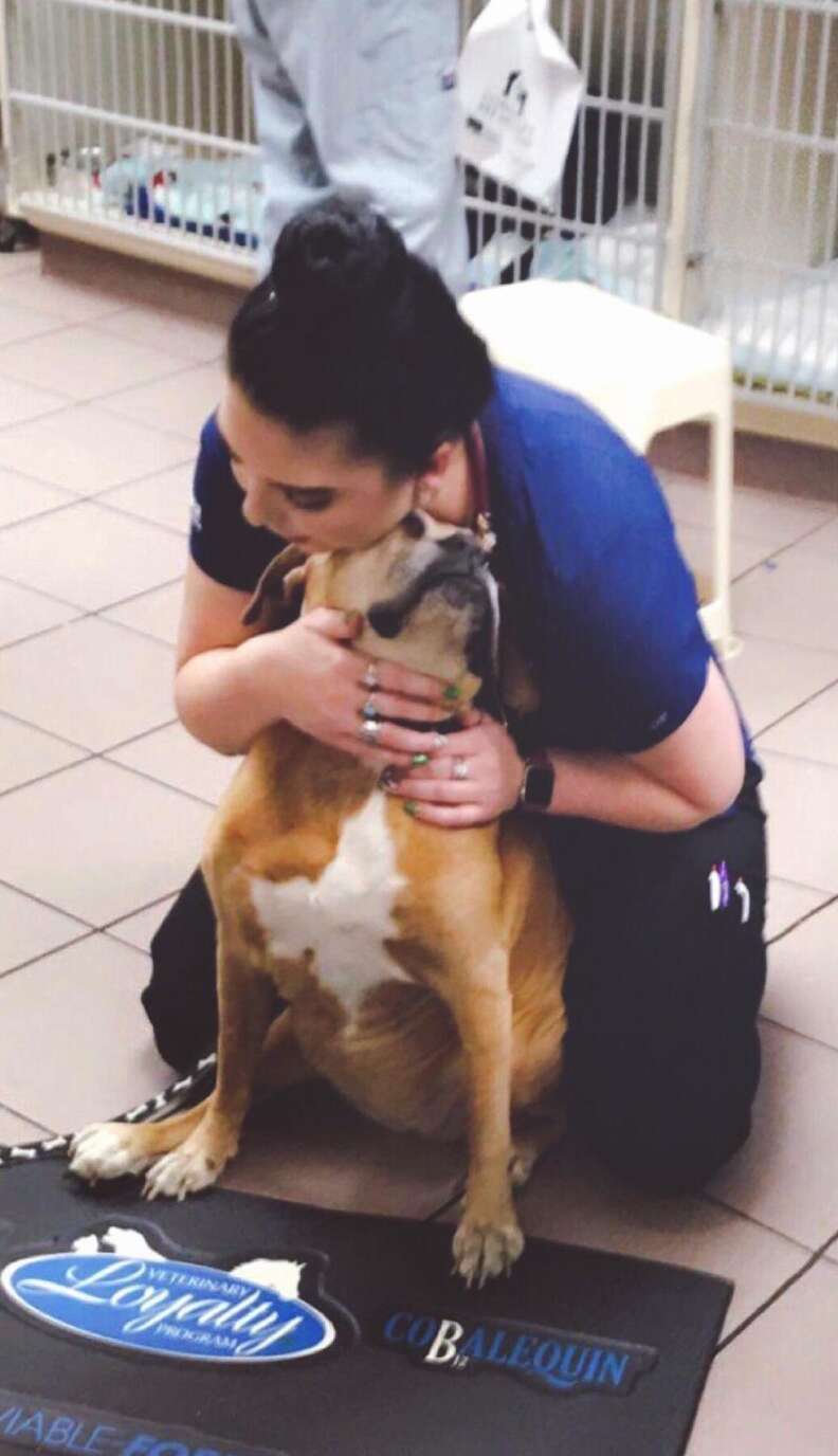 Dog snuggles vet tech after blood draw