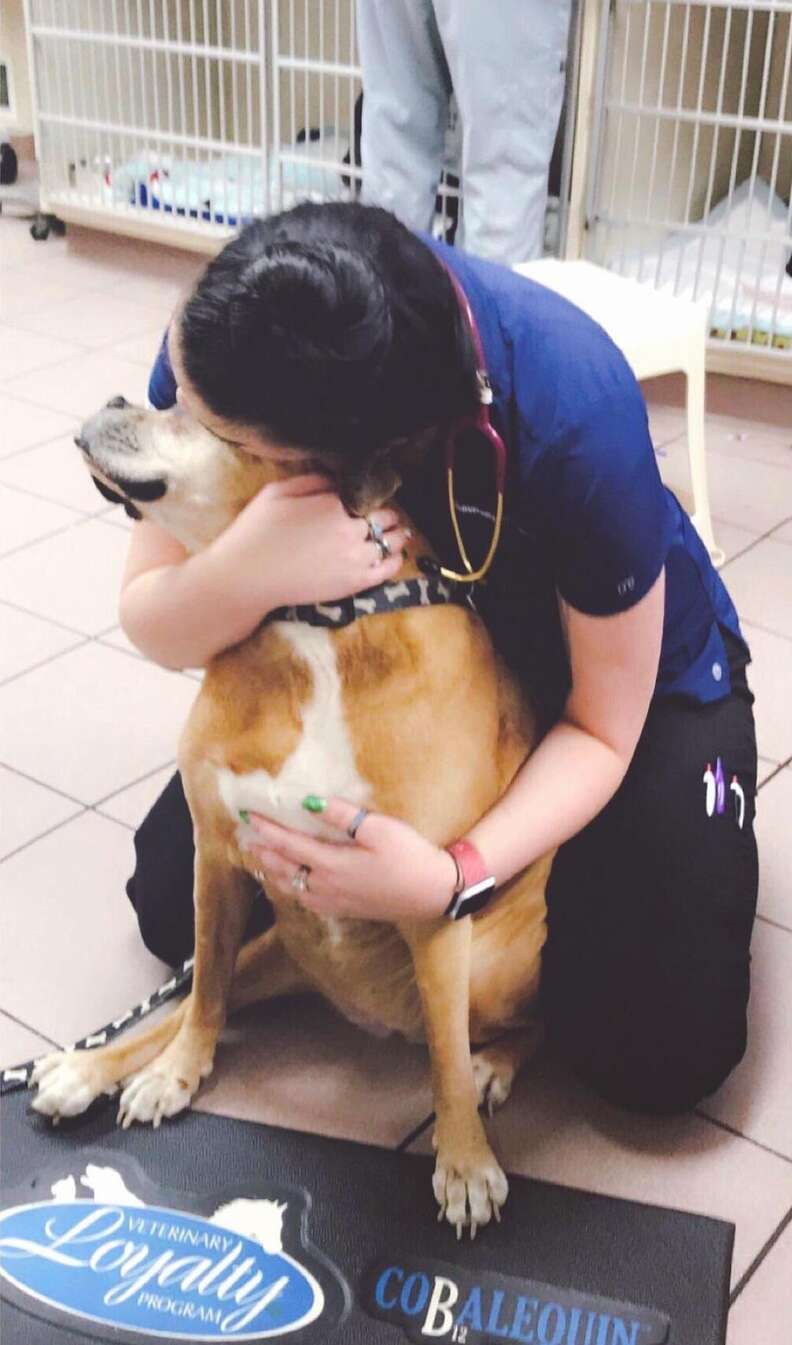 Old dog gets hug at vet office