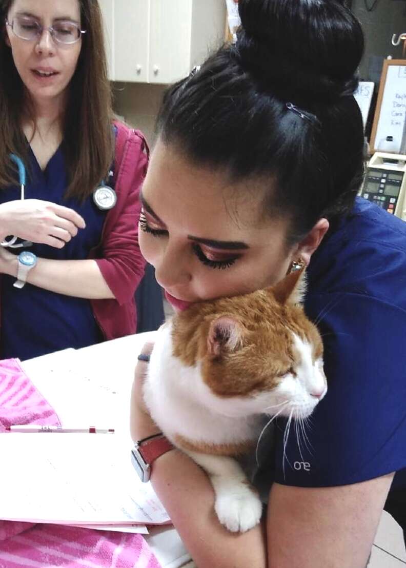 Vet tech snuggles a cat patient