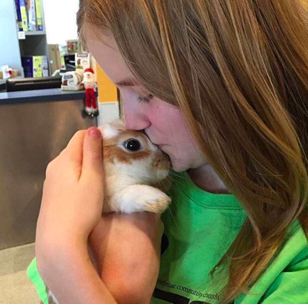 Sadler Rabbit Rabbit Abandoned At Shelter For Being ‘Too Affectionate’ - The Dodo