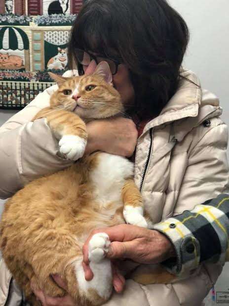 Woman hugging cat to her chest