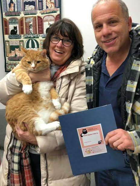 Cat being adopted by couple