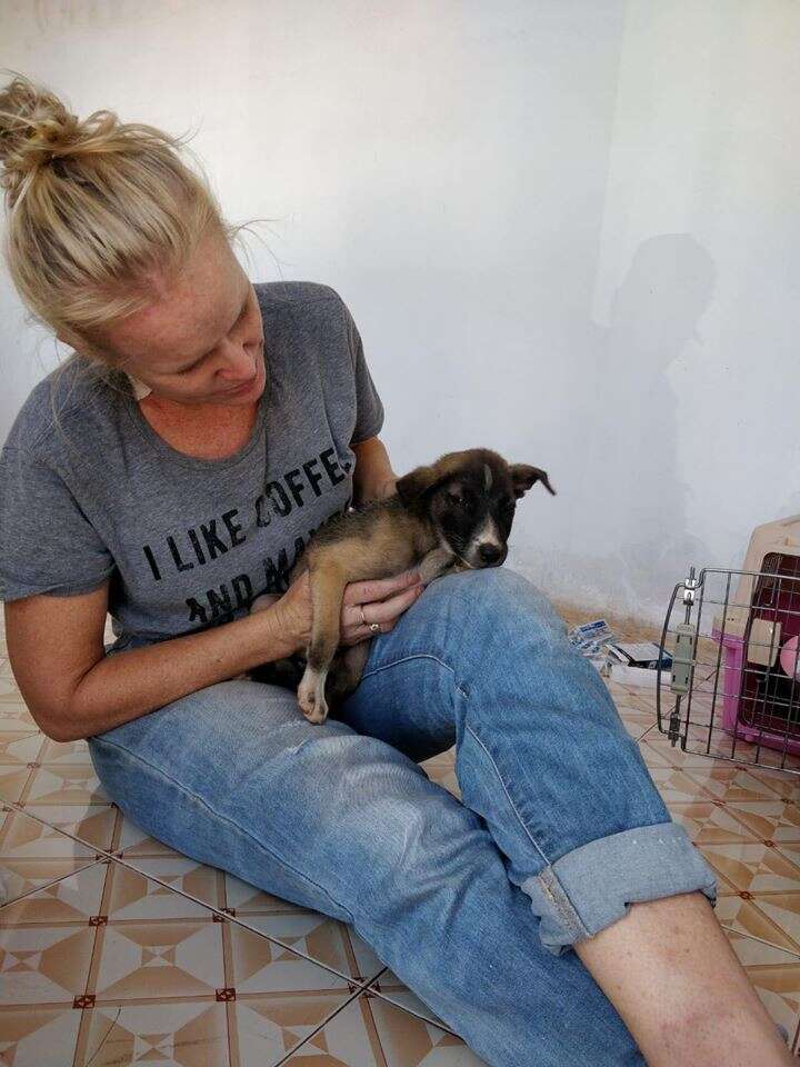 Woman holding rescued puppy