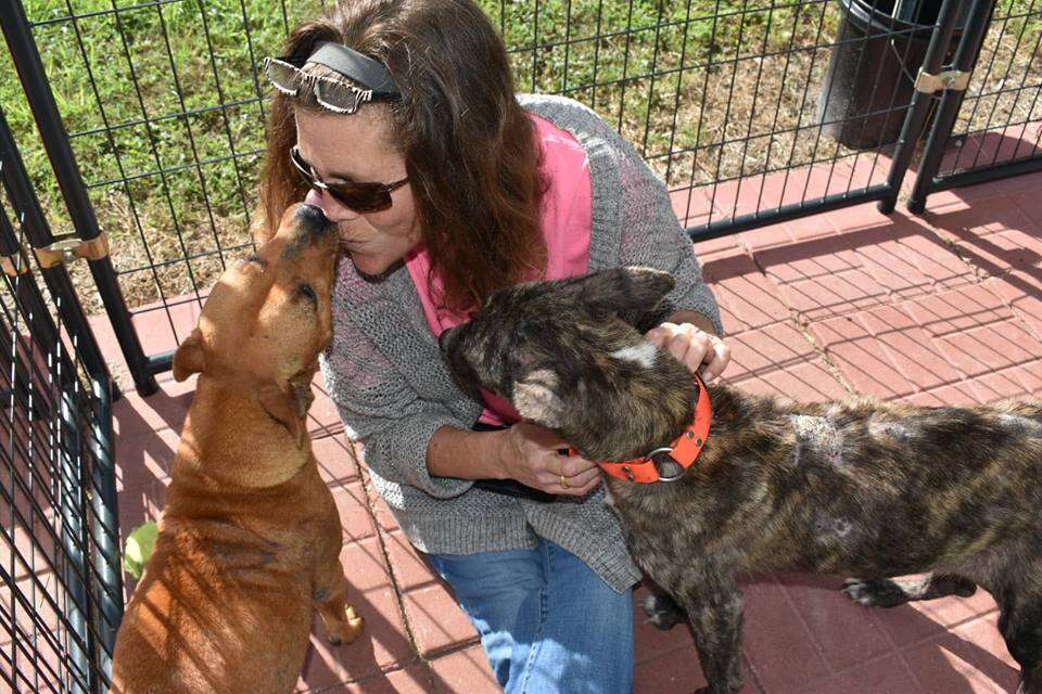 Dog kissing woman on her face