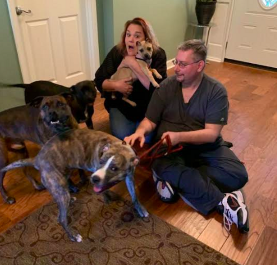 Rescue Puppy From Has Cutest ‘Cinnamon Roll’ Ears The Dodo