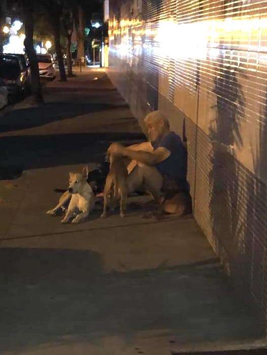 Luis the homeless man is reunited with his dogs