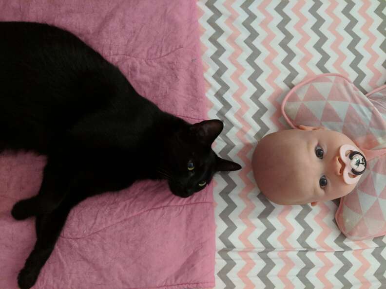 cat and baby