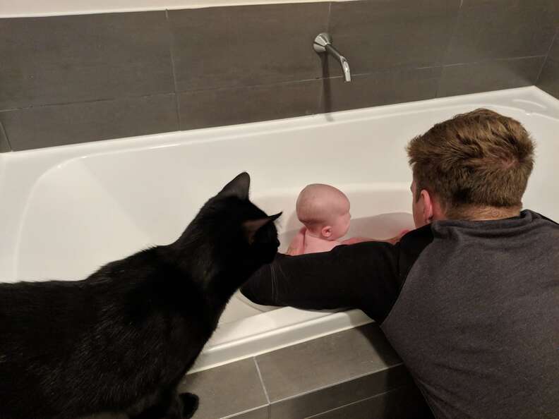 cat and baby