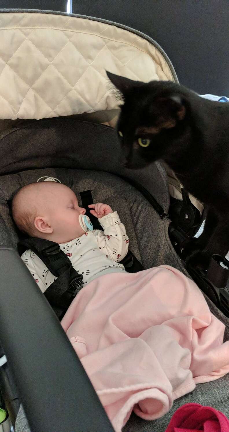 cat and baby