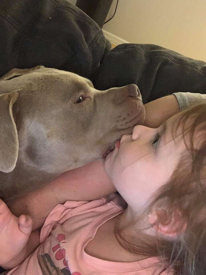Dog snuggled up with little girl