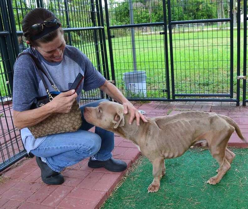 Woman petting emaciated dog