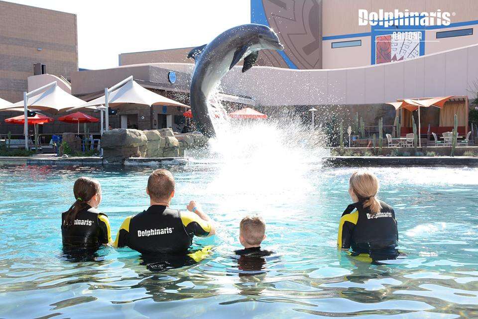 People watching performing at dolphinarium