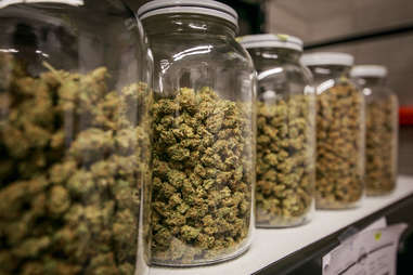 jars of marijuana on a shelf