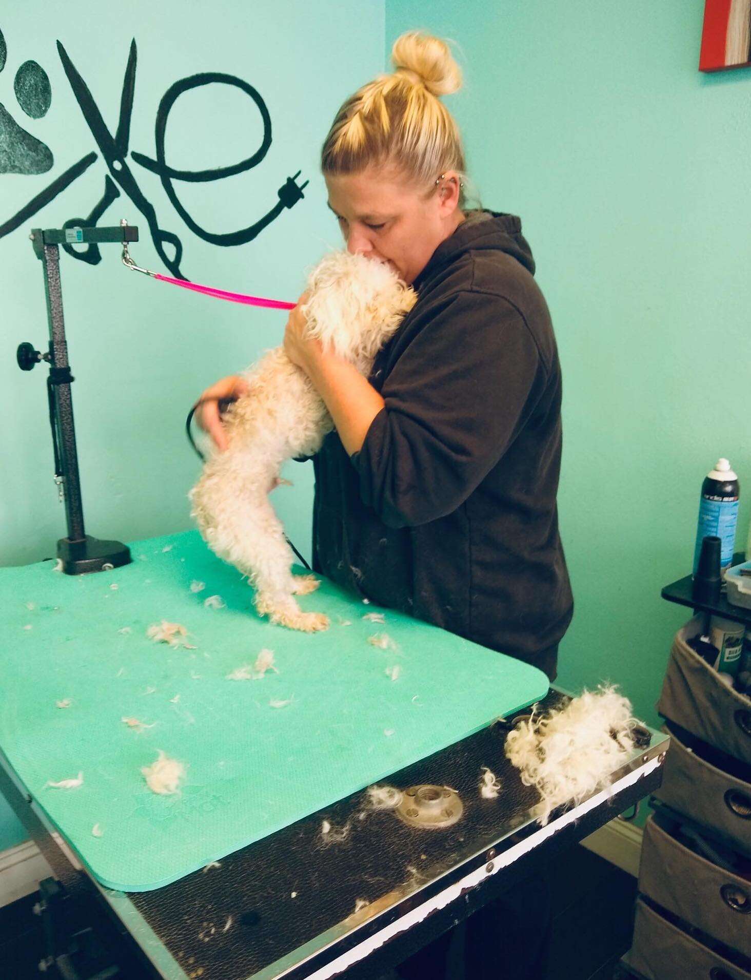 Abandoned dog snuggles with groomer