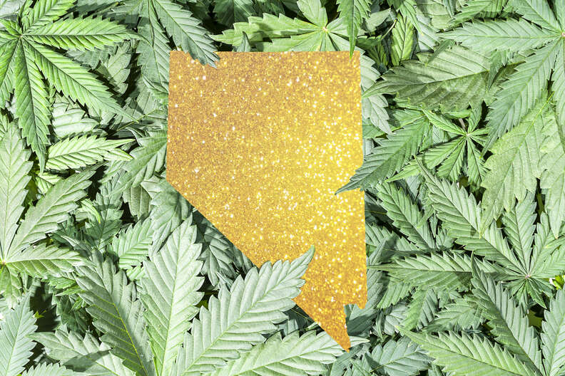 illustration of map of nevada on top of marijuana leaves
