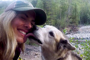 Shy Shelter Dog Gives Her Mom The Confidence To Do Anything 