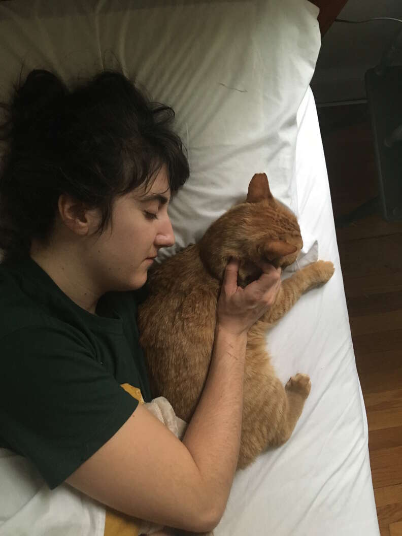 Boston street cat becomes cuddle buddy
