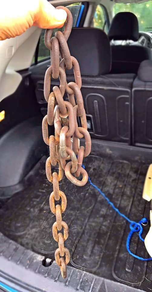 Chain removed from dog's neck
