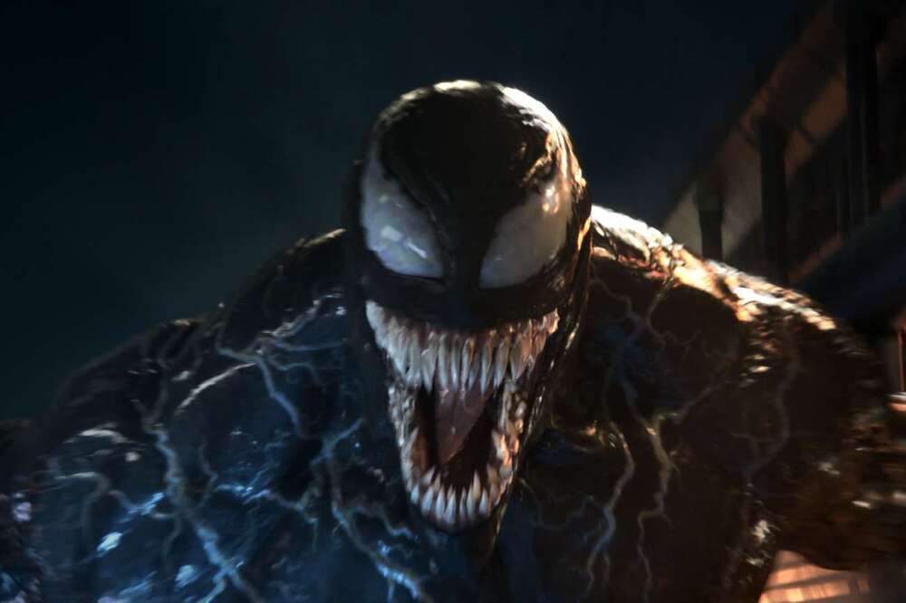 Newly Discovered Spider Species Named After Spider-Man Character Venom