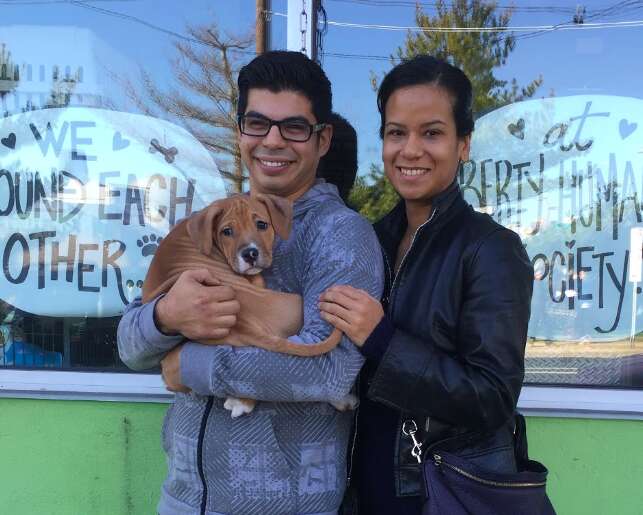dog rescue