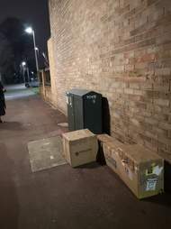 Cats left in sealed boxes in East London