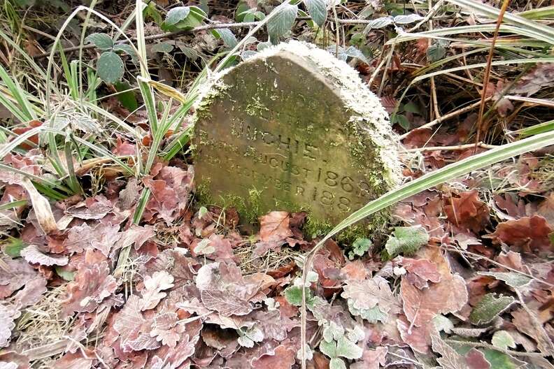 rabbit grave england