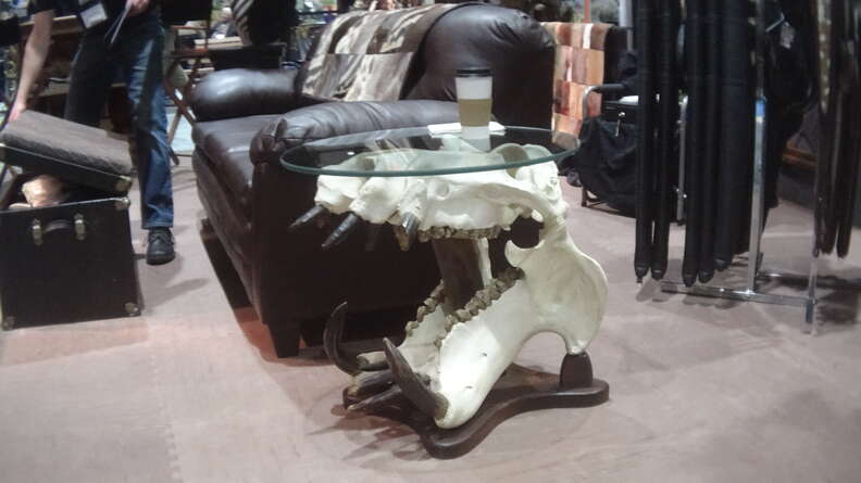 Table made from hippo skull