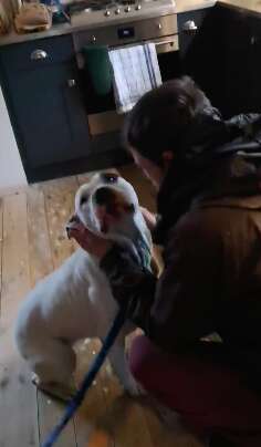 Homeless man reuniting with dog he thought lost