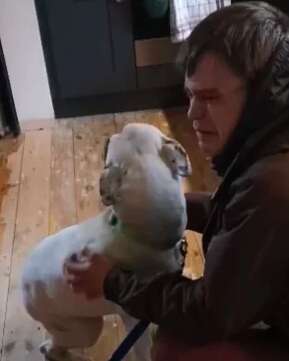 Homeless man reuniting with dog he thought lost