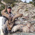 goat trophy hunt kill