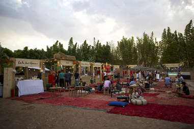 oasis festival morocco