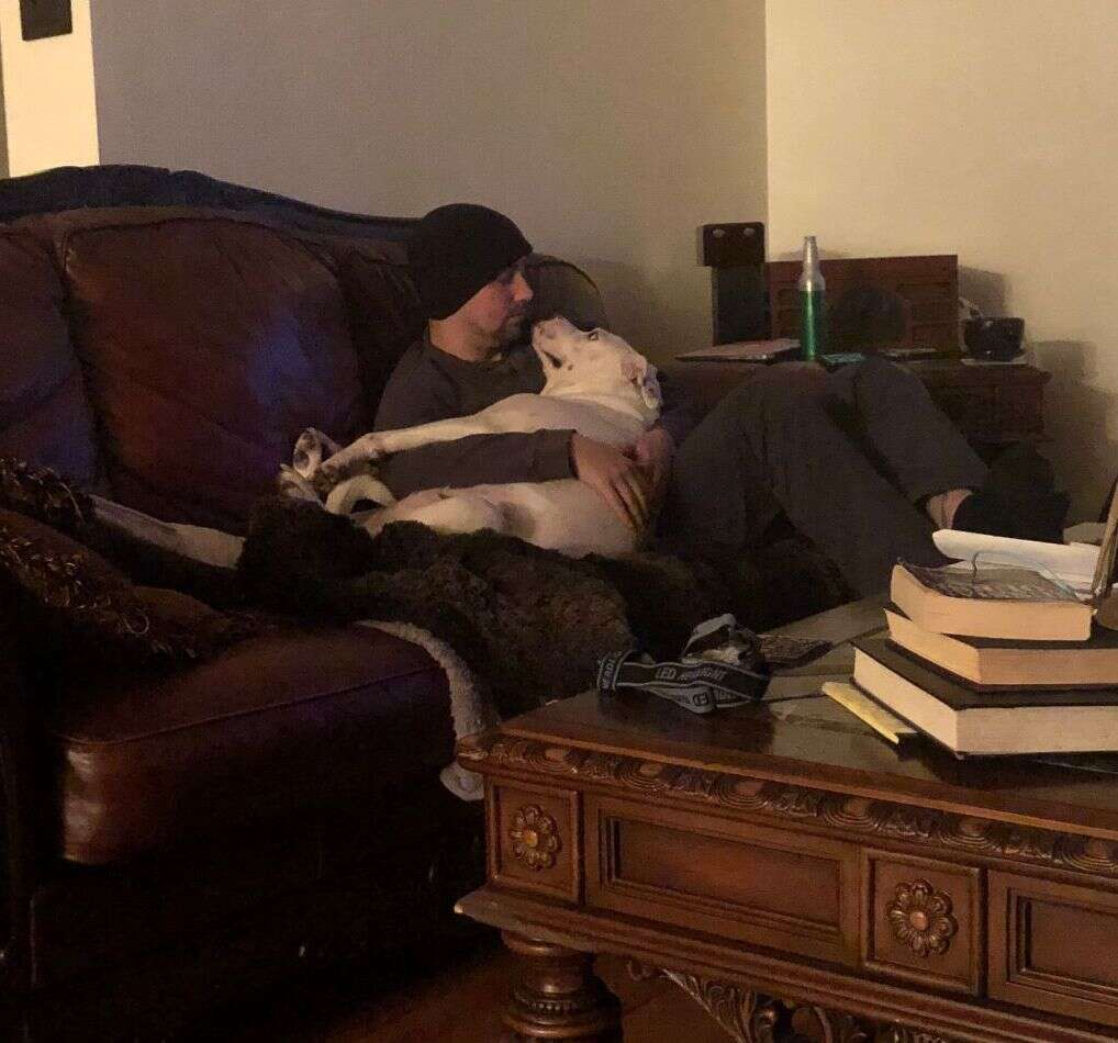 Chubby shelter snuggles her foster dad