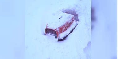 cat rescue snow