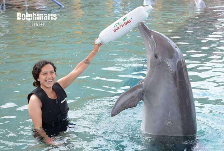 dolphin death captivity