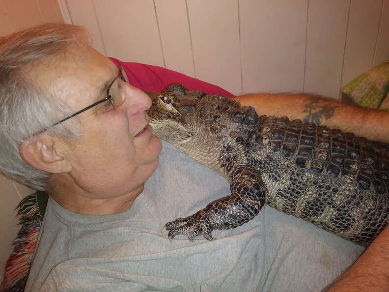 Pennsylvania man and his emotional support alligator who helps him with depression