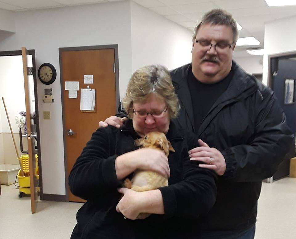 couple adopts puppy