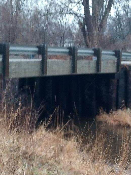 puppy thrown from bridge indiana