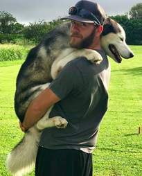 Guy and his adventuring husky