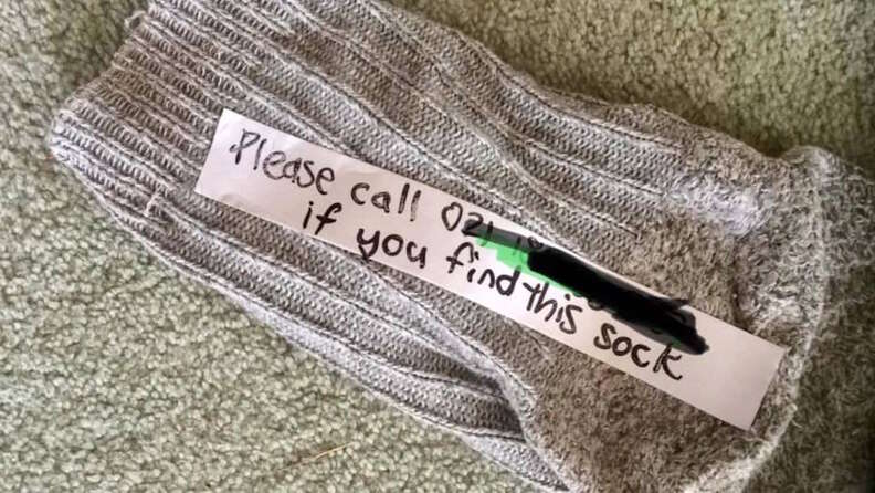 Sock that helped nab feline sock thief in New Zealand