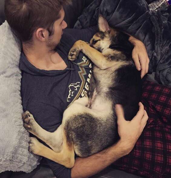 Caro snuggles with his owner