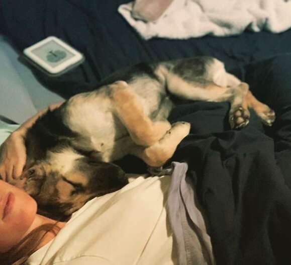 Caro the rescued German shepherd snuggles with Kylina Turner