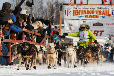 Iditarod race