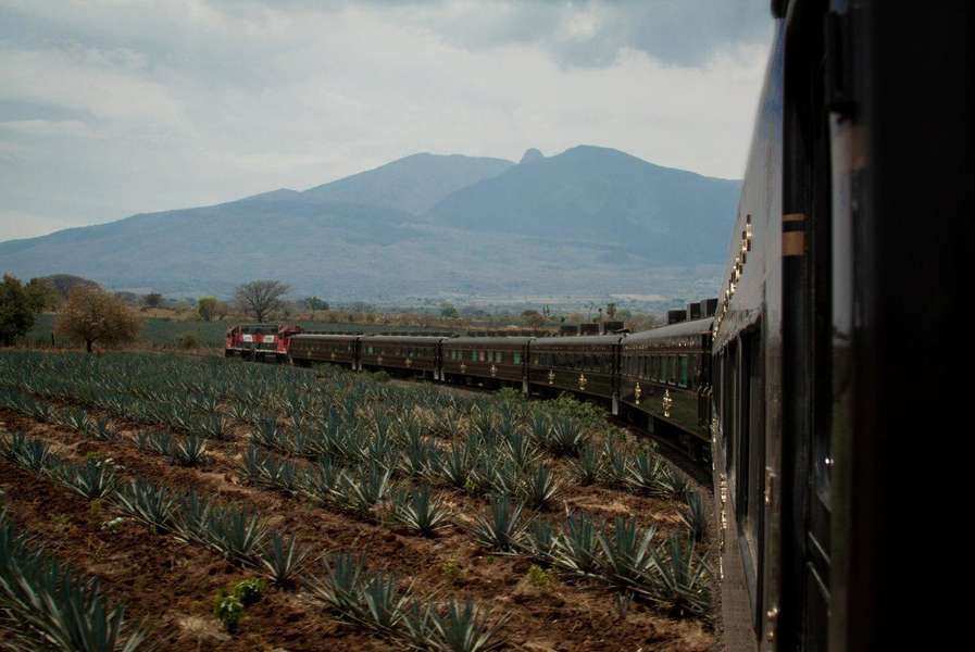 Jose Cuervo Express The New AllYouCanDrink Tequila Train in Mexico Thrillist
