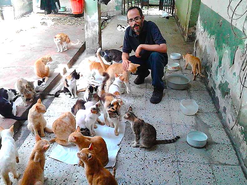 Cat sanctuary in Venezuela