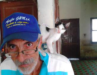 Venezuela cat sanctuary