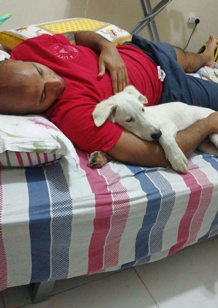 Snowy the rescued street dog cuddles with his dad