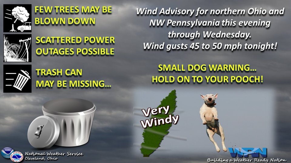 Weather Service Issues 'Small Dog Warning' - The Dodo