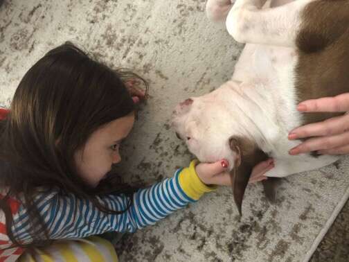 Little girl with her new rescue dog