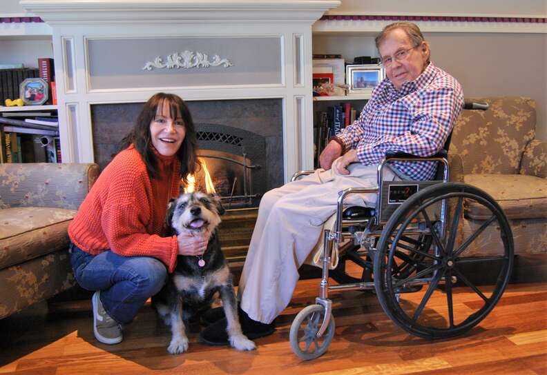 Senior dog needing new home